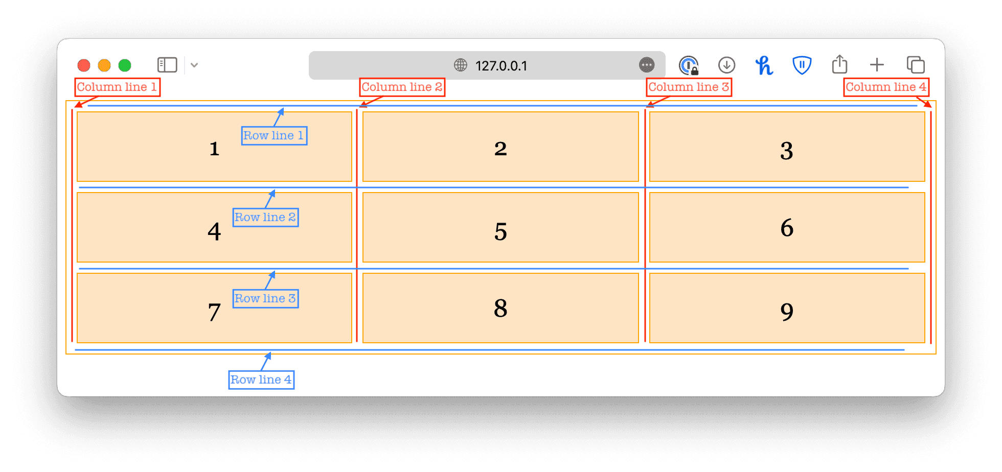 column lines and row lines